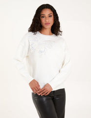 Embellished Sequin Butterfly Jumper