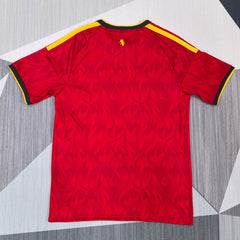 2026 Fan Belgium Home