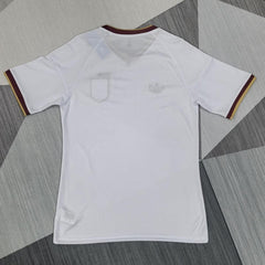 2026 Fan Spain Away