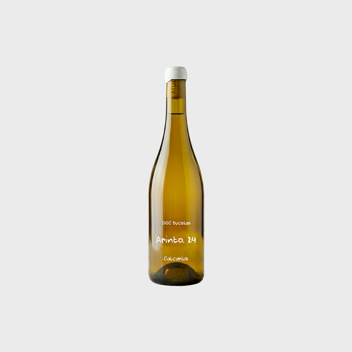 ARINTO. 24 2024