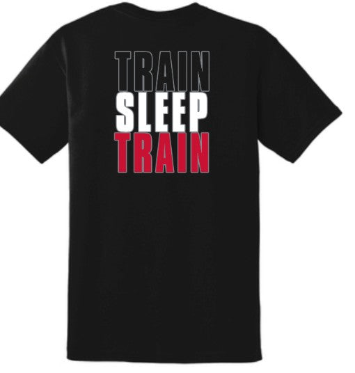 Train Sleep Train